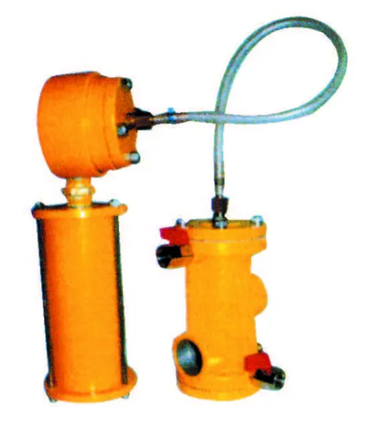 COMMANDE A DISTANCE SEPAREE Larius France