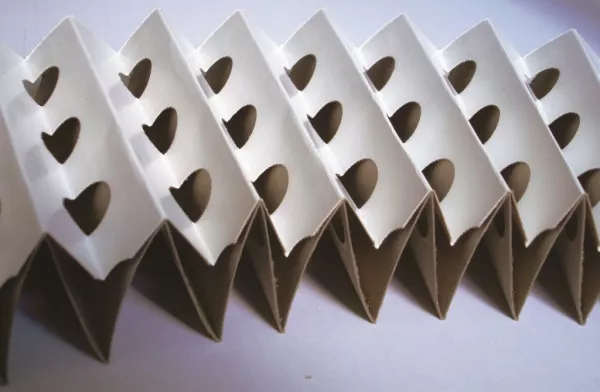 FILTRE CARTON PLISSE Larius France